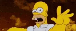 Homer